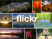 FLICKR - FOTOGRAFIAS DO PORTAL MESSEJANA